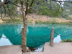 -靖西鹅泉风景区