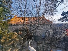 -妙峰山风景名胜区