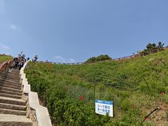 -燕儿岛山公园