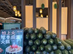 -翟辉冬瓜盅火锅(南村万博店)