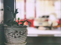 -北京福铃丰瑞比亚迪4S店(花乡店)
