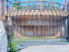 -长白山聚龙火山温泉