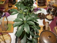 -叶叶菩提·晋福宫