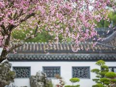 -莫愁湖公园