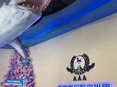 -重庆欢乐海底世界