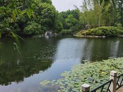 -上海共青森林公园