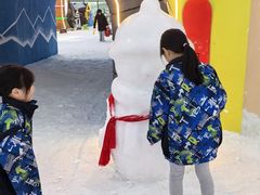 -世界之窗阿尔卑斯冰雪世界