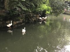 -兰亭风景区