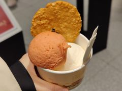 -陕拾叁-西安糕点(北院门创始店)