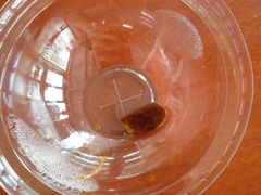 -清真马记宫廷奶酪(广渠门内大街店)