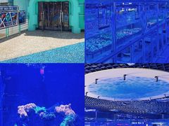 -海合安武汉极地海洋公园