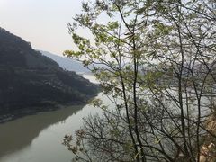 -铁山坪森林公园