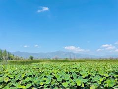 -野鸭湖国家湿地公园