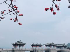 景点-广济桥
