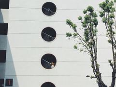 -喜茶(永旺梦乐城店)