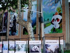 -西安电影制片厂