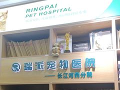 -瑞派长江宠物医院·猫科·外科·24小时夜护(谊城公寓分院)