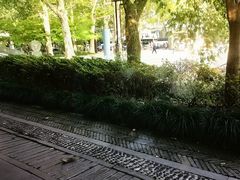 -星巴克(西湖天地店)