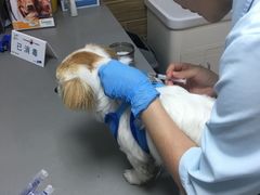 -爱侣宠医·鹦鹉专科·小型哺乳类·异宠专科(灵石路店)