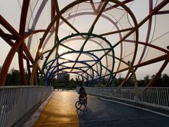 -春花秋色城市公园