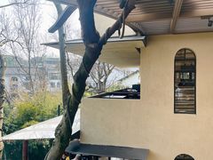 -朴墅(西湖青芝坞店·杭帮菜·家宴.14年的店)