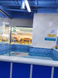 -子木乐园婴儿游泳馆(水晶港店)