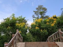 -白鹭湾湿地公园