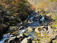 -光雾山旅游景区