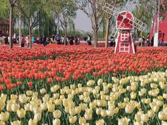 -廊坊文化艺术中心