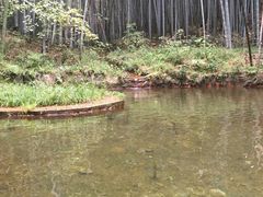 -石塘人家