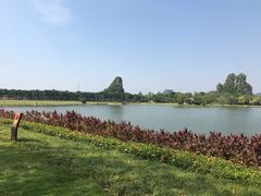 -南宁花花大世界景区