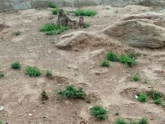 -石家庄极地海洋世界