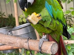 -南宫五洲植物乐园