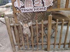 -杭州开元森泊度假乐园