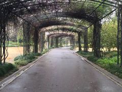 -蠡湖大桥公园