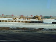 -陆地游轮吉林神农温泉