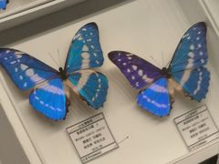 -青岛市博物馆