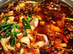 -乡土特色.冷锅鱼.牦牛肉汤锅