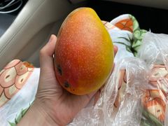 -港华水果街(港华广场店)