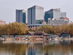 -莲花池公园
