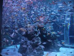 -成都浩海立方海洋公园