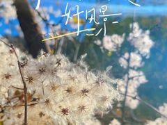 -北京密云天门山风景区