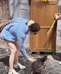 -Zoolung Zoolung动物主题公园(海信广场店)