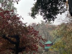 -岳麓山风景名胜区