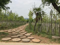 -西安关中民俗艺术博物院