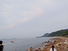 -杨梅坑