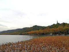 -浙江省博物馆(孤山馆区)