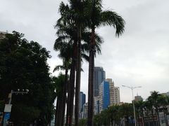 -珠海拱北口岸