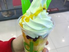 冻酸奶-Salud撒露欧洲冻酸奶(蓝色港湾店)