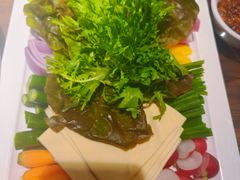 -七菜馆·东北菜·蒸饺(文体路店)